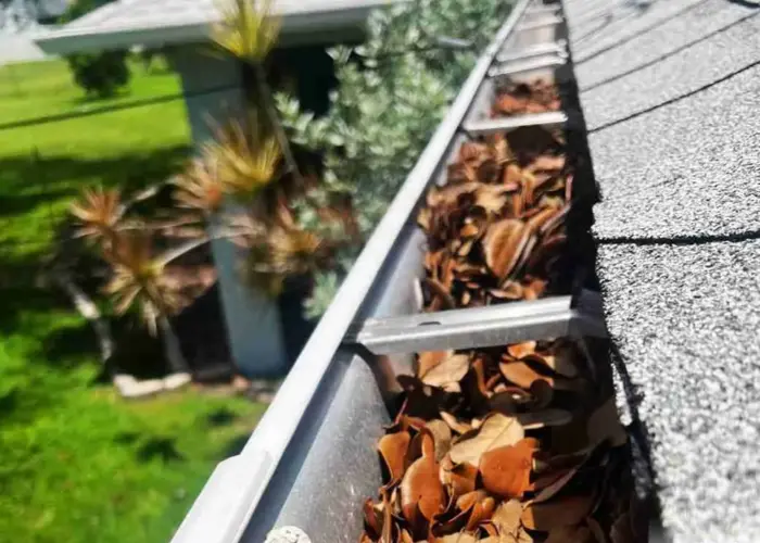Clearwater gutter cleaning home page